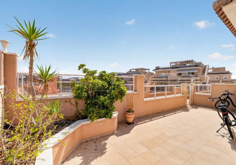 Buy apartment in Punta Prima