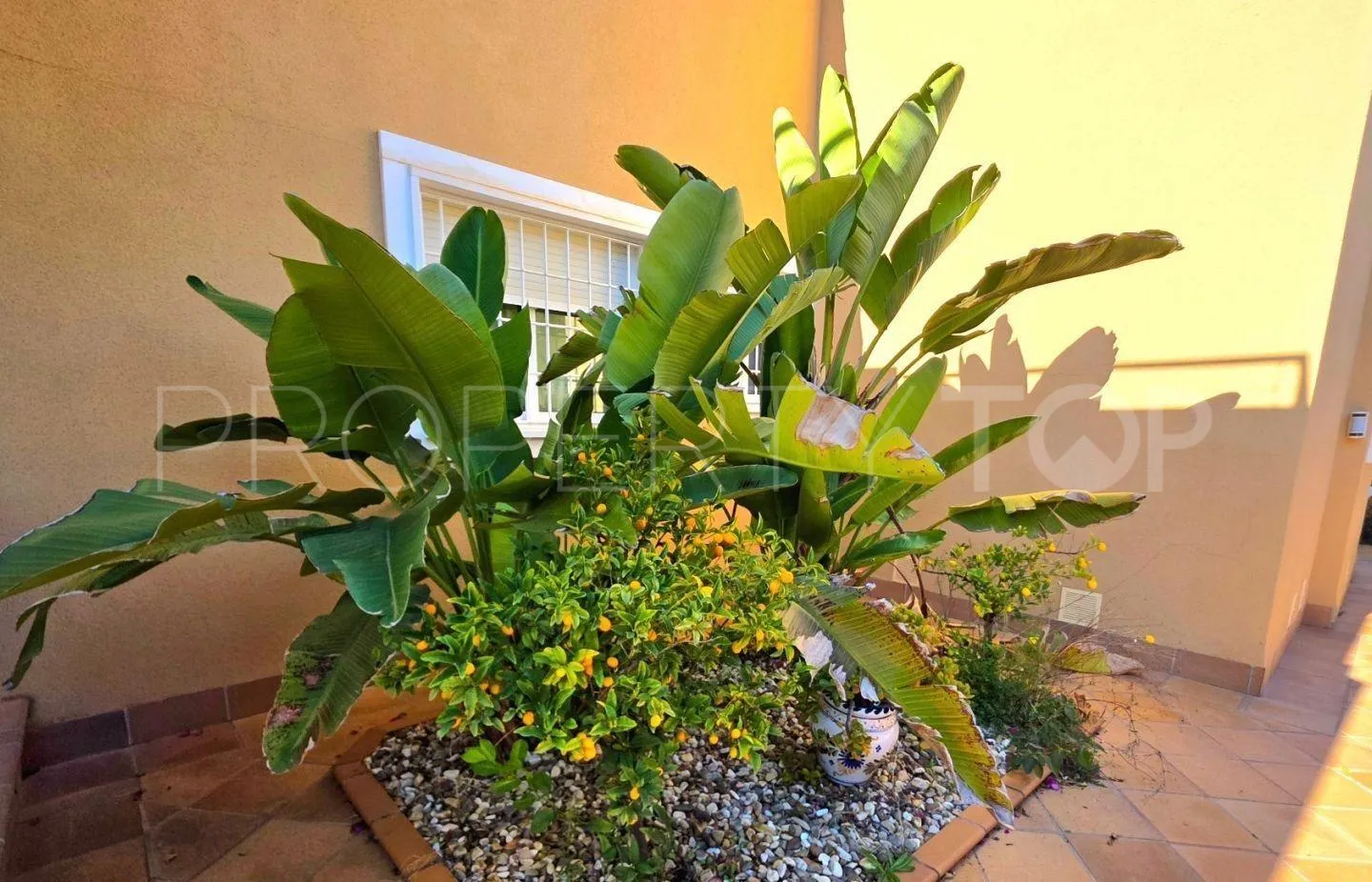 Villamartin, villa con 5 dormitorios a la venta