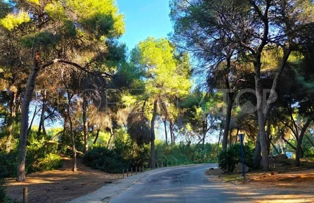 Villamartin, villa con 5 dormitorios a la venta