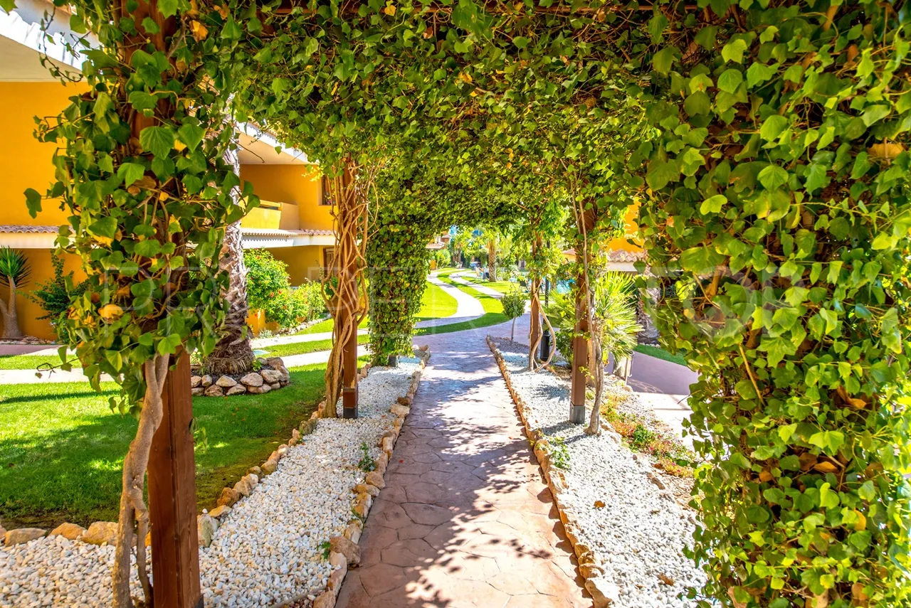 Apartment for sale in Punta Prima