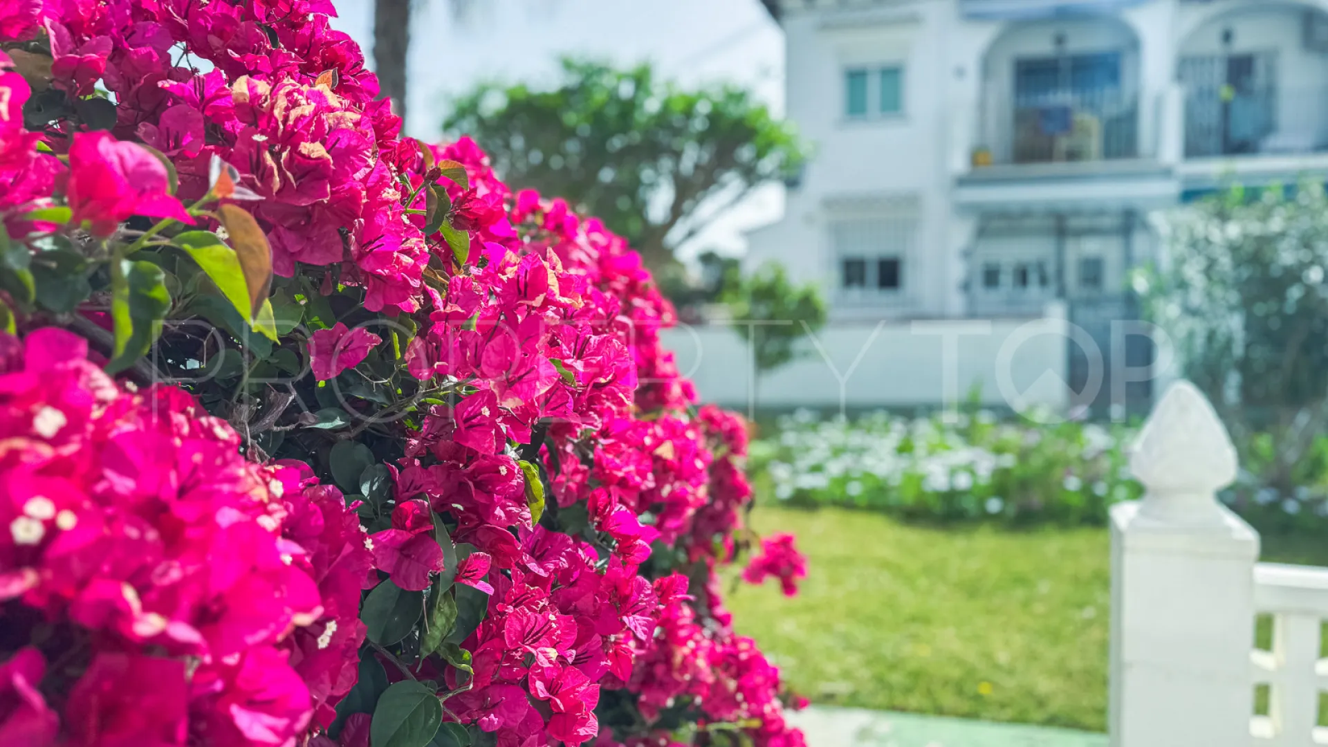 Buy apartment with 1 bedroom in Los Balcones