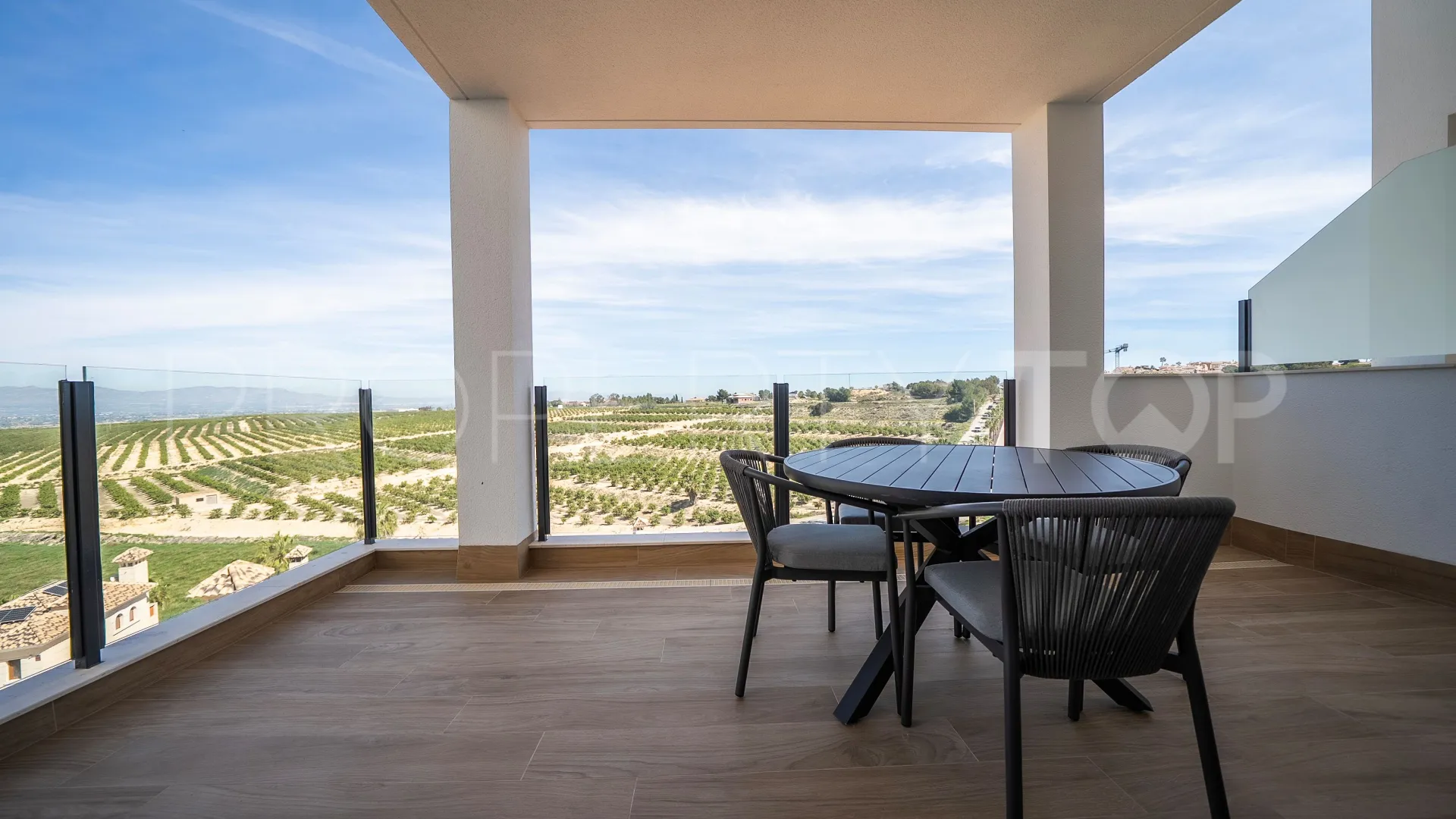Algorfa villa for sale