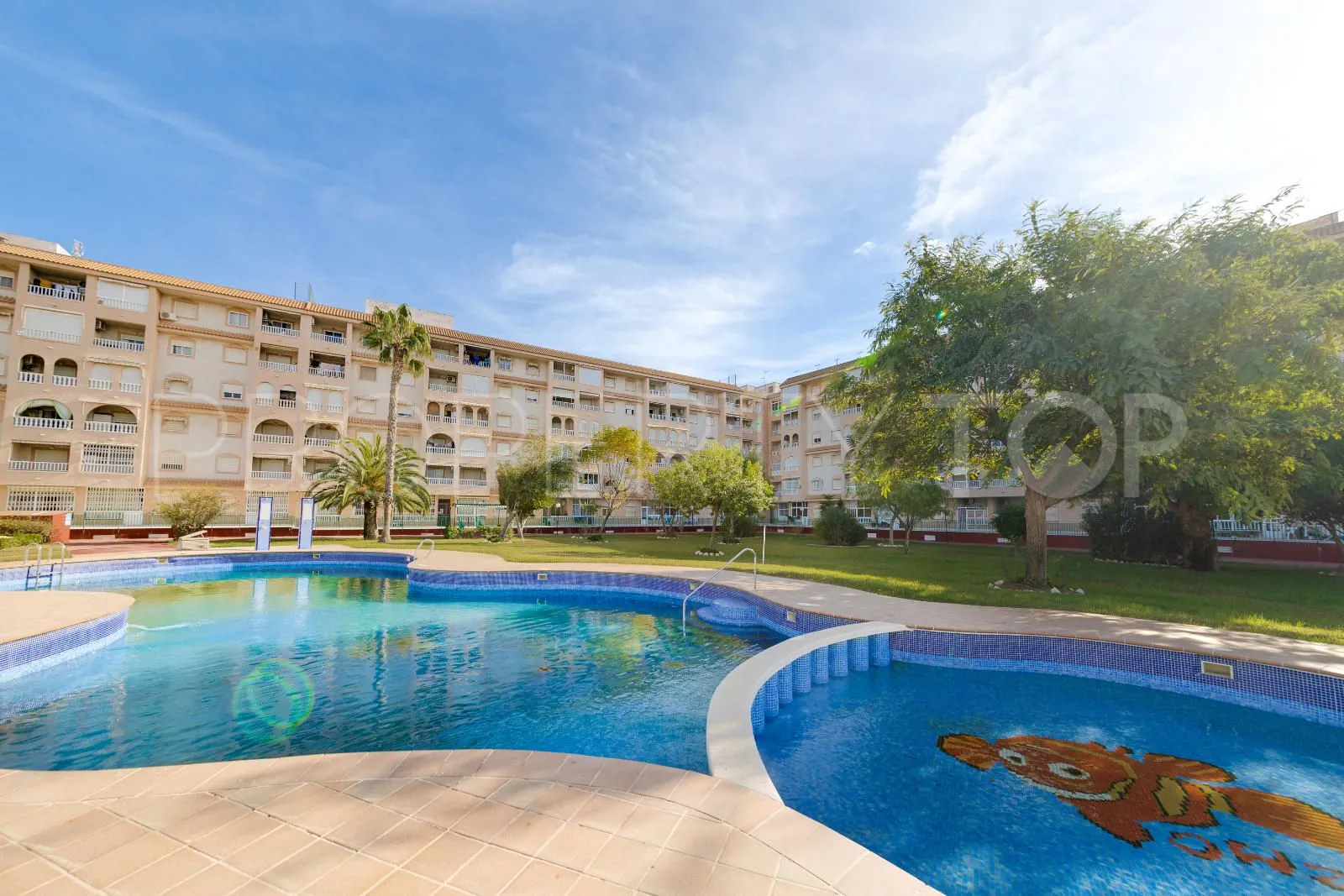 Apartamento en venta en Torrevieja
