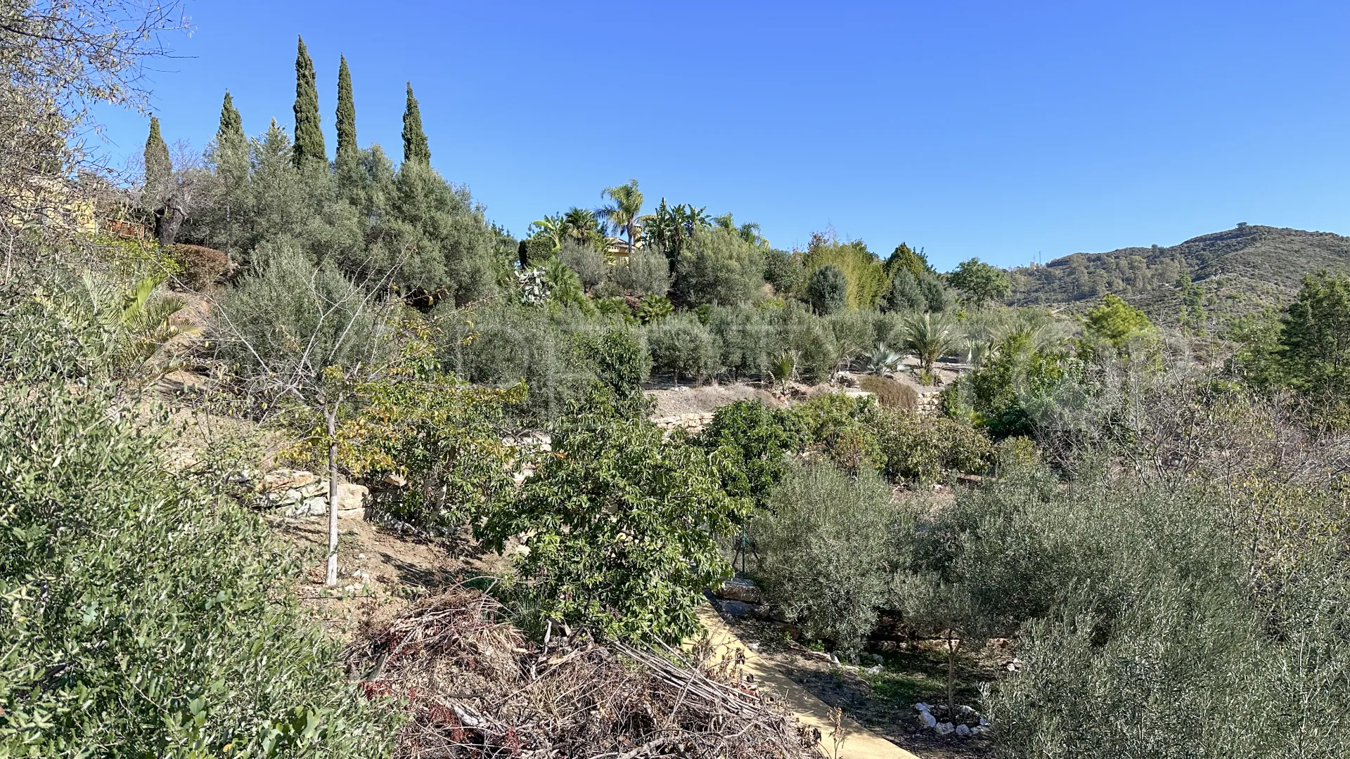 Comprar finca con 5 dormitorios en Ojen