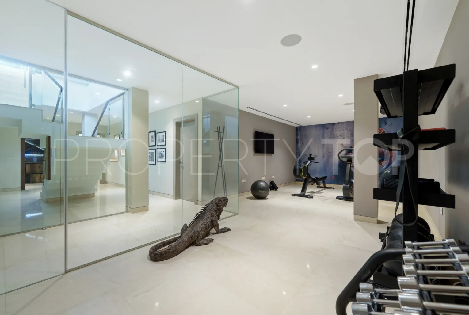 5 bedrooms villa in Nueva Andalucia for sale
