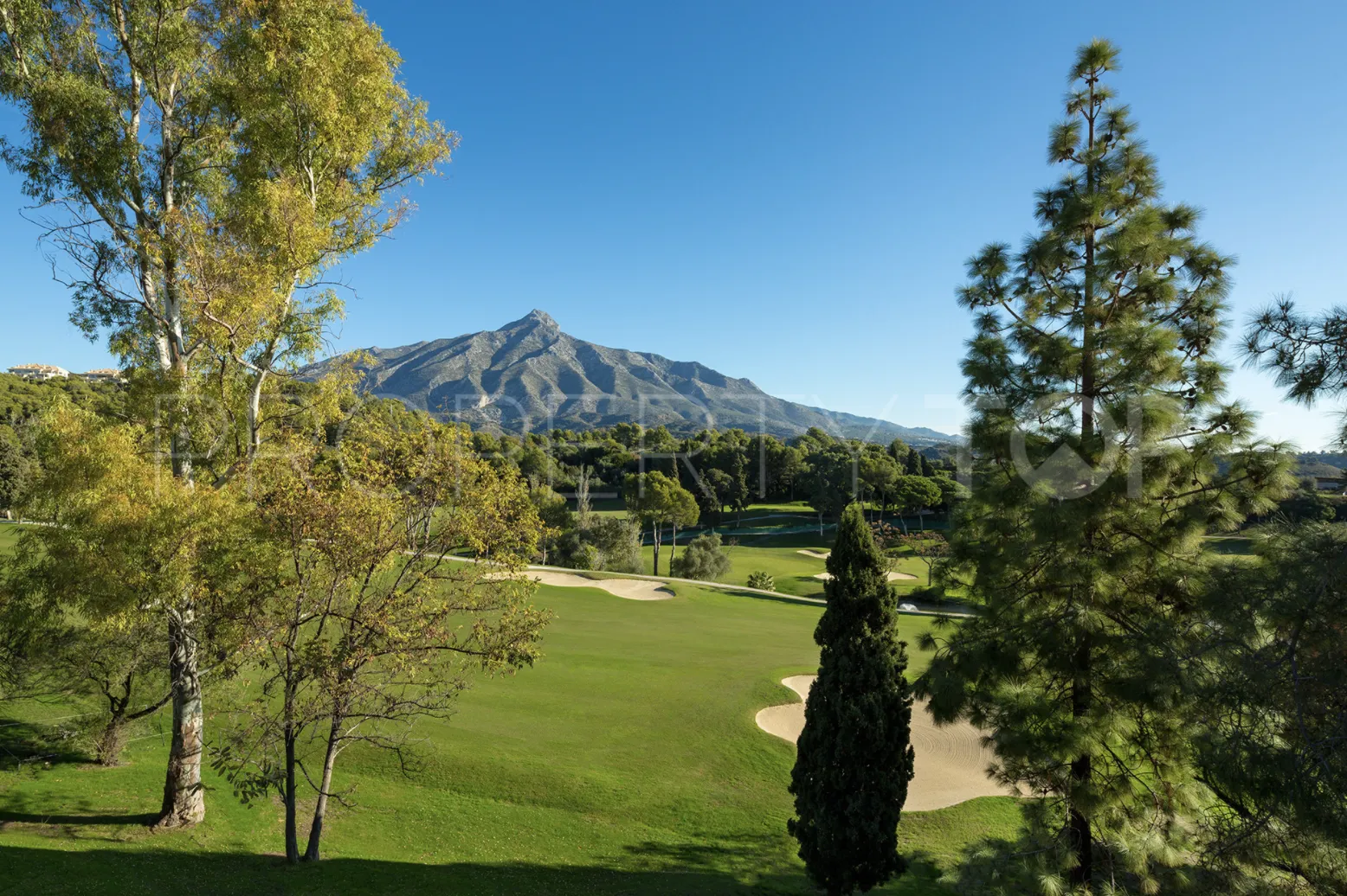 Villa de 5 dormitorios en venta en Nueva Andalucia