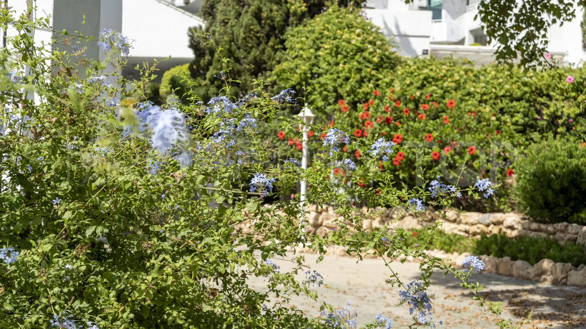 Marbella Golden Mile town house for sale