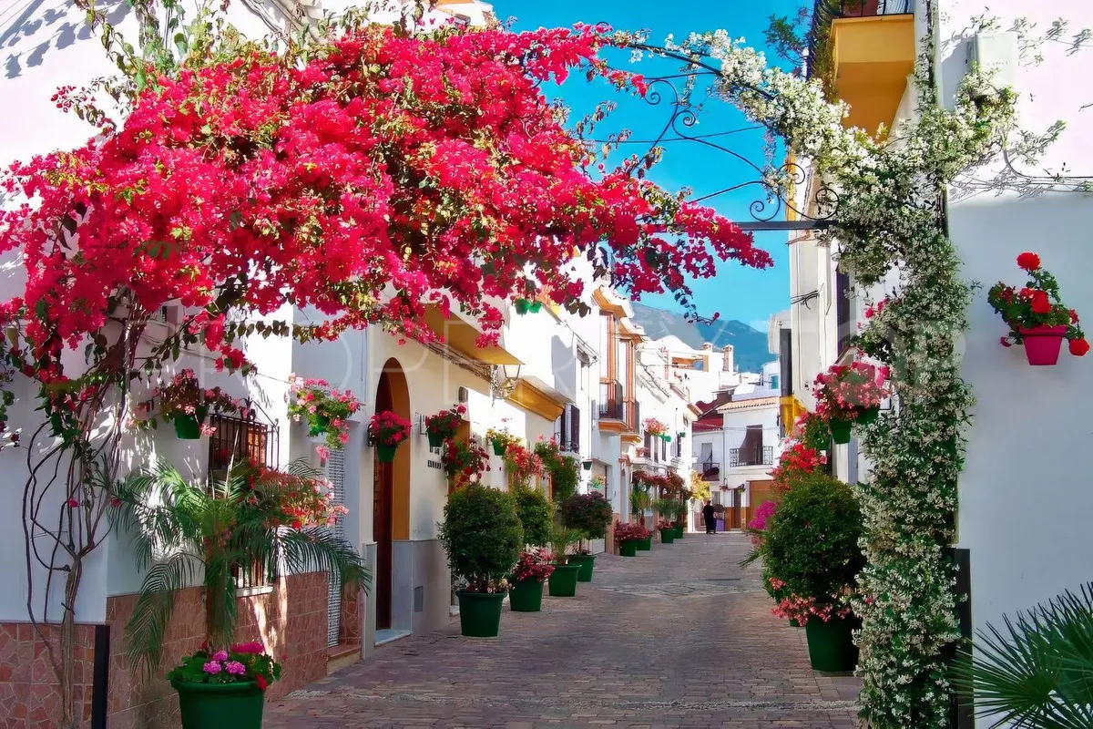 2 bedrooms penthouse in Estepona for sale
