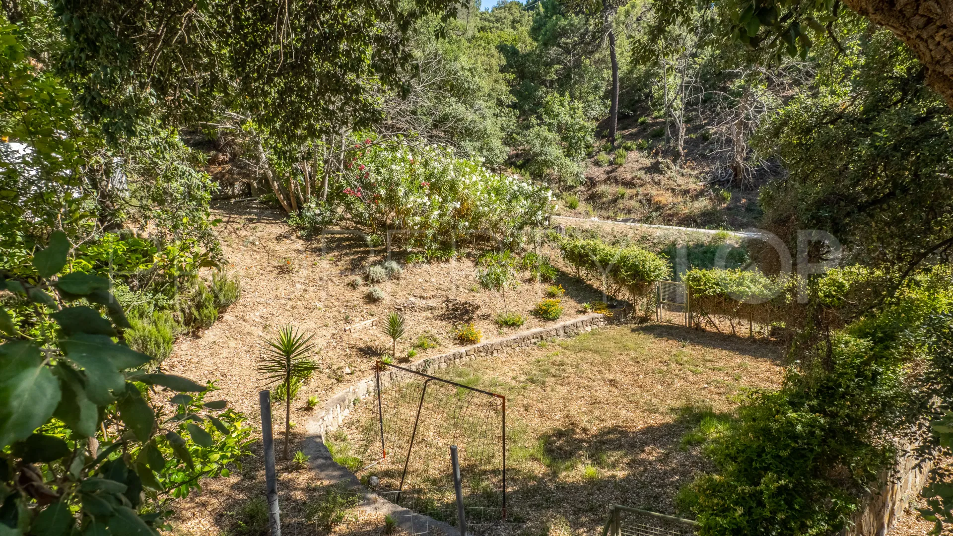 Buy restaurant in Casares Montaña with 3 bedrooms