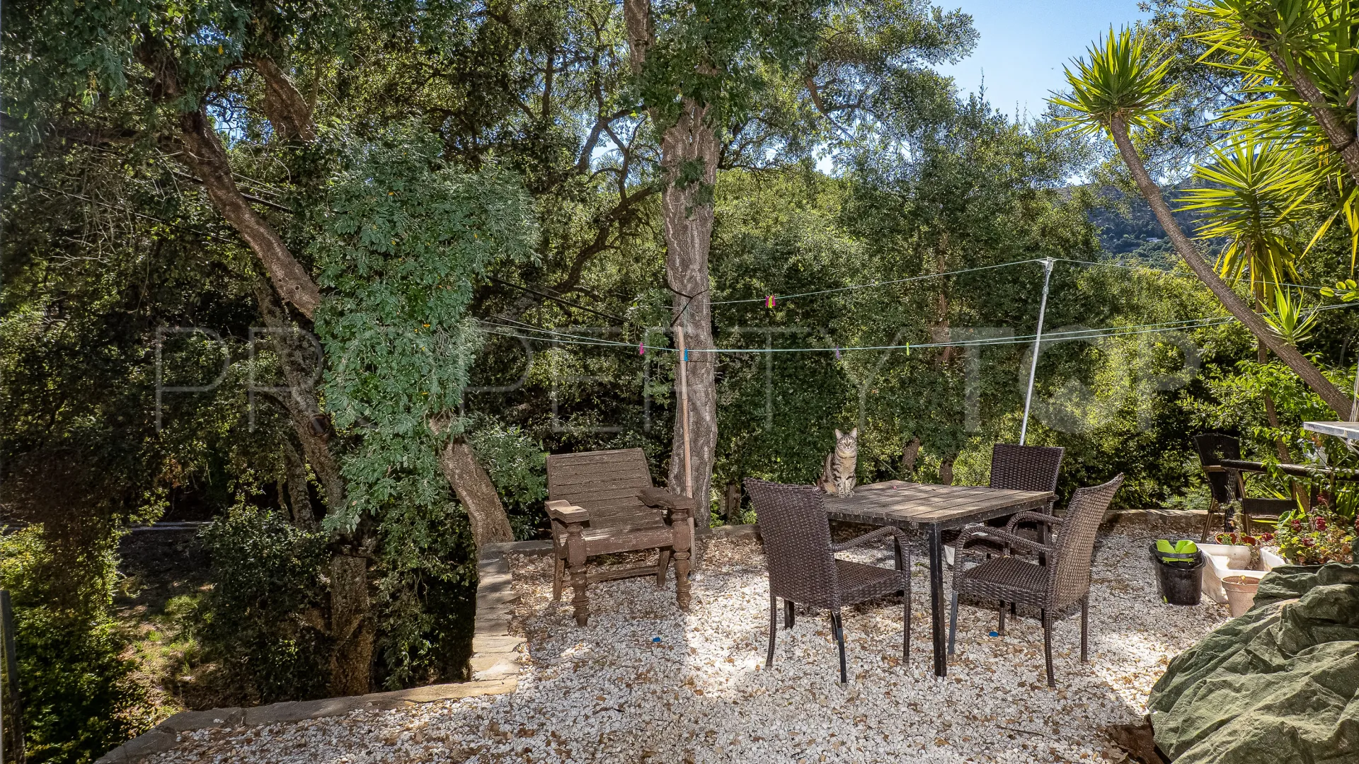 Buy restaurant in Casares Montaña with 3 bedrooms