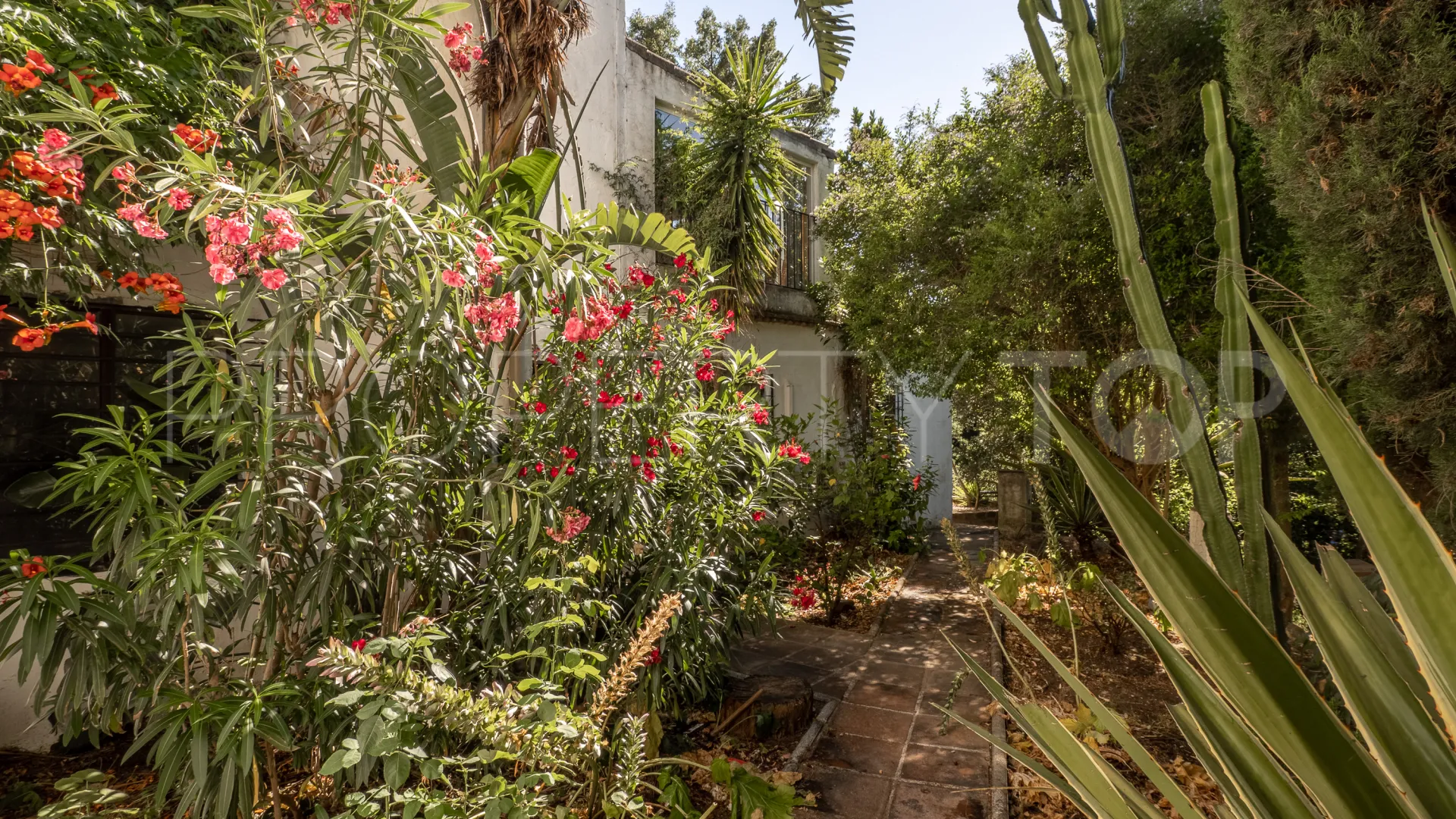 Buy restaurant in Casares Montaña with 3 bedrooms