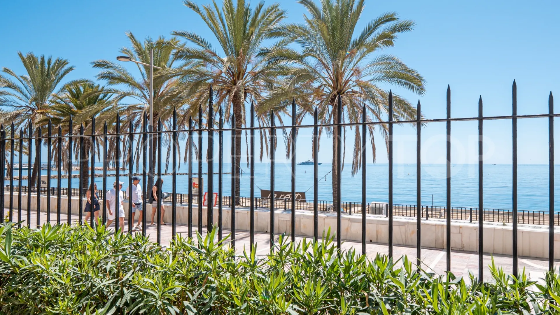 Buy apartment in Marbella