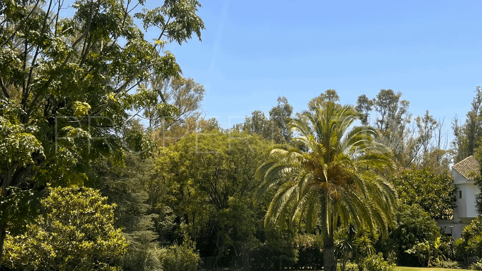 Nueva Andalucia ground floor apartment for sale