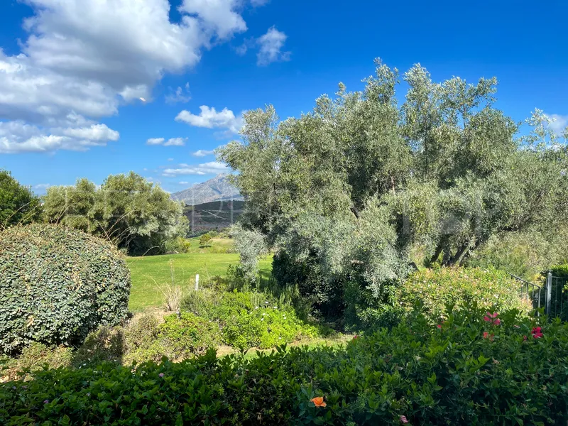 6 bedrooms villa for sale in El Rosario