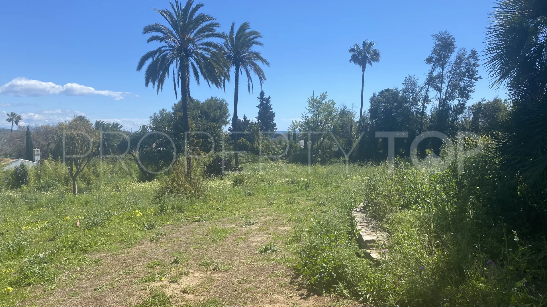 Sotogrande Costa, parcela a la venta
