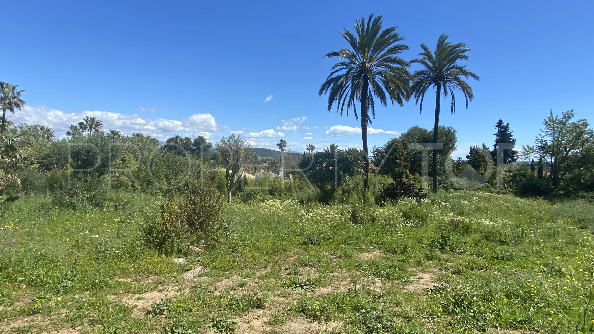 Sotogrande Costa, parcela a la venta