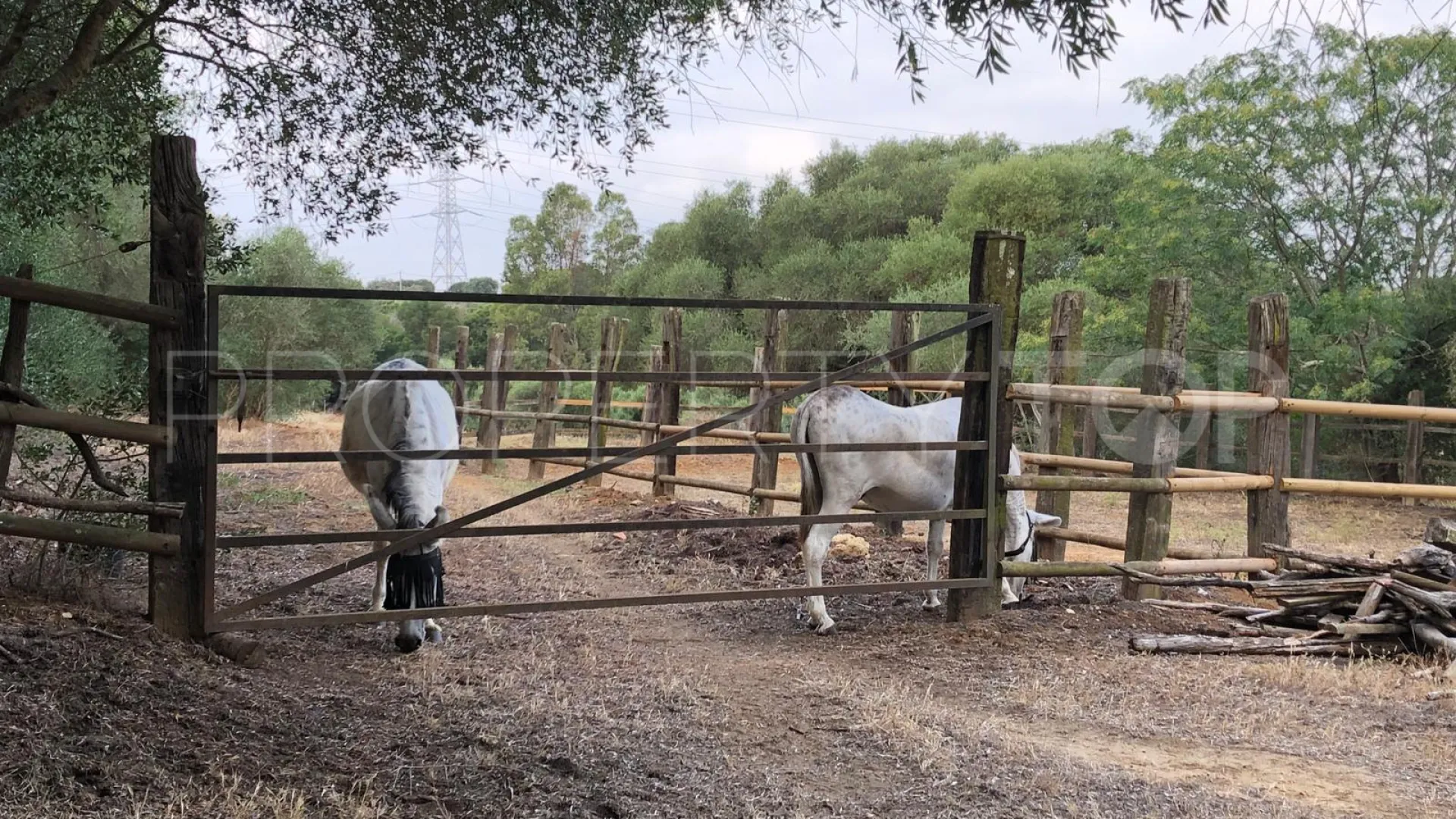 For sale San Roque 3 bedrooms country house