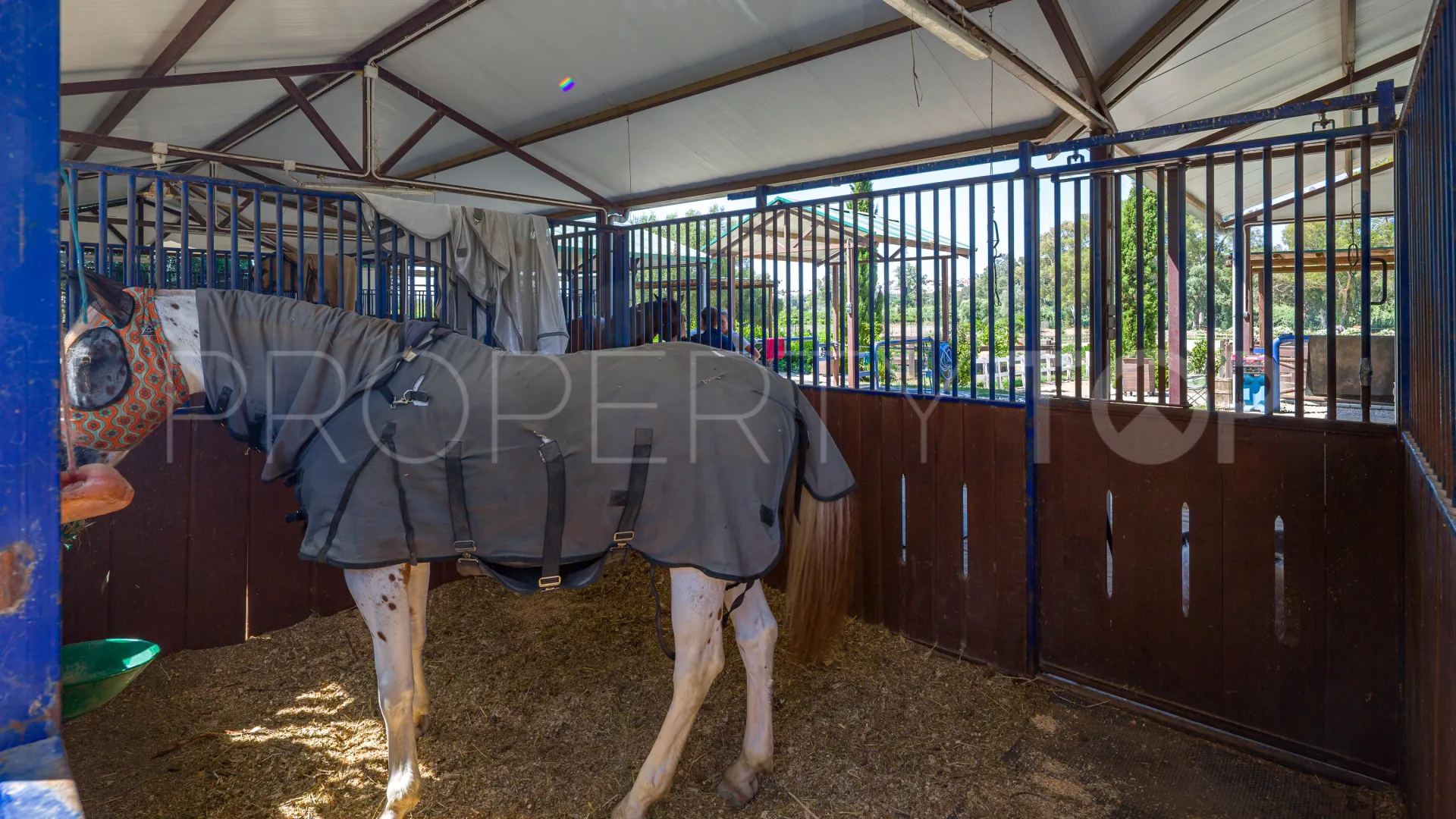 Finca en venta en San Enrique de Guadiaro