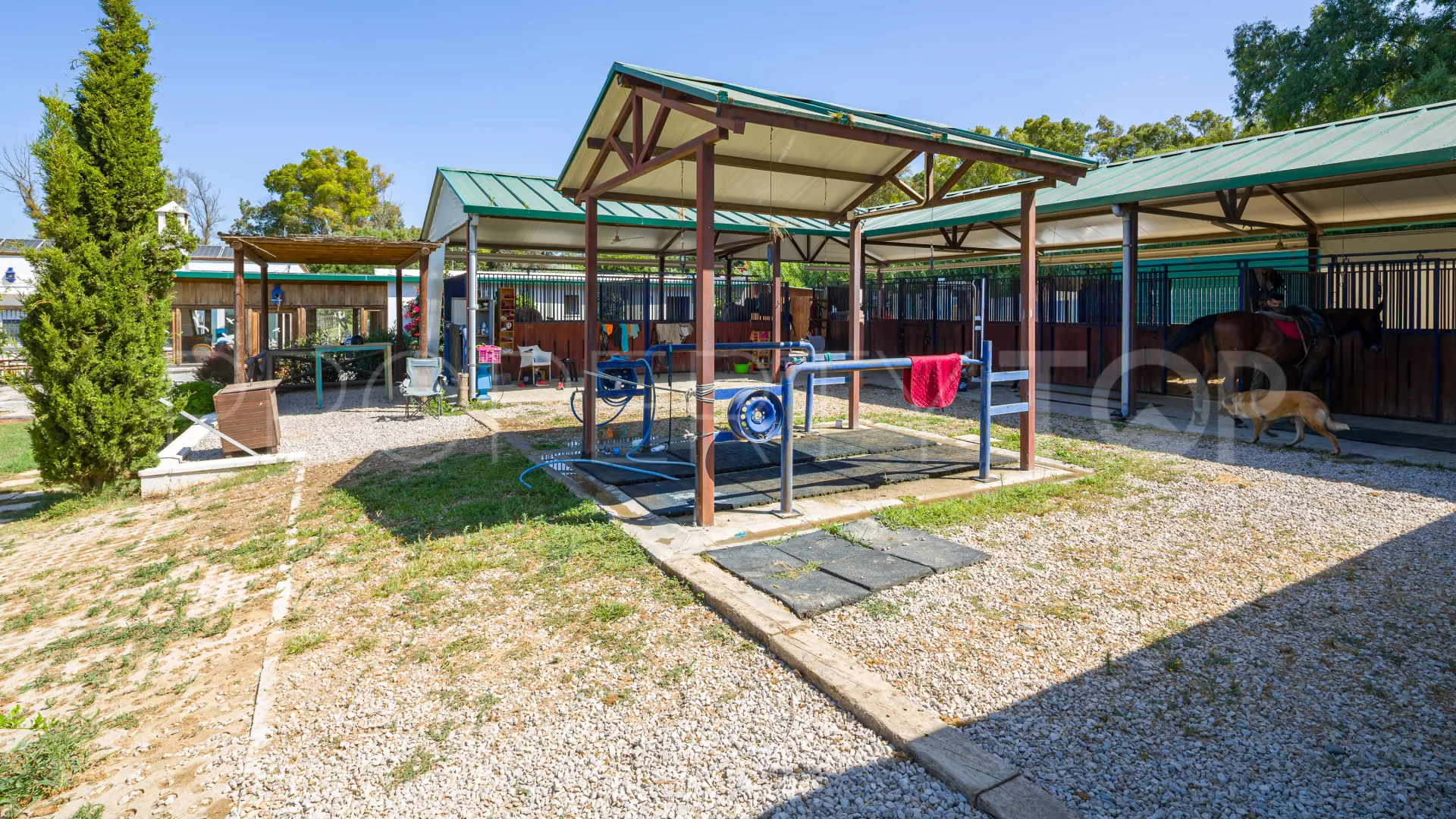 Finca en venta en San Enrique de Guadiaro