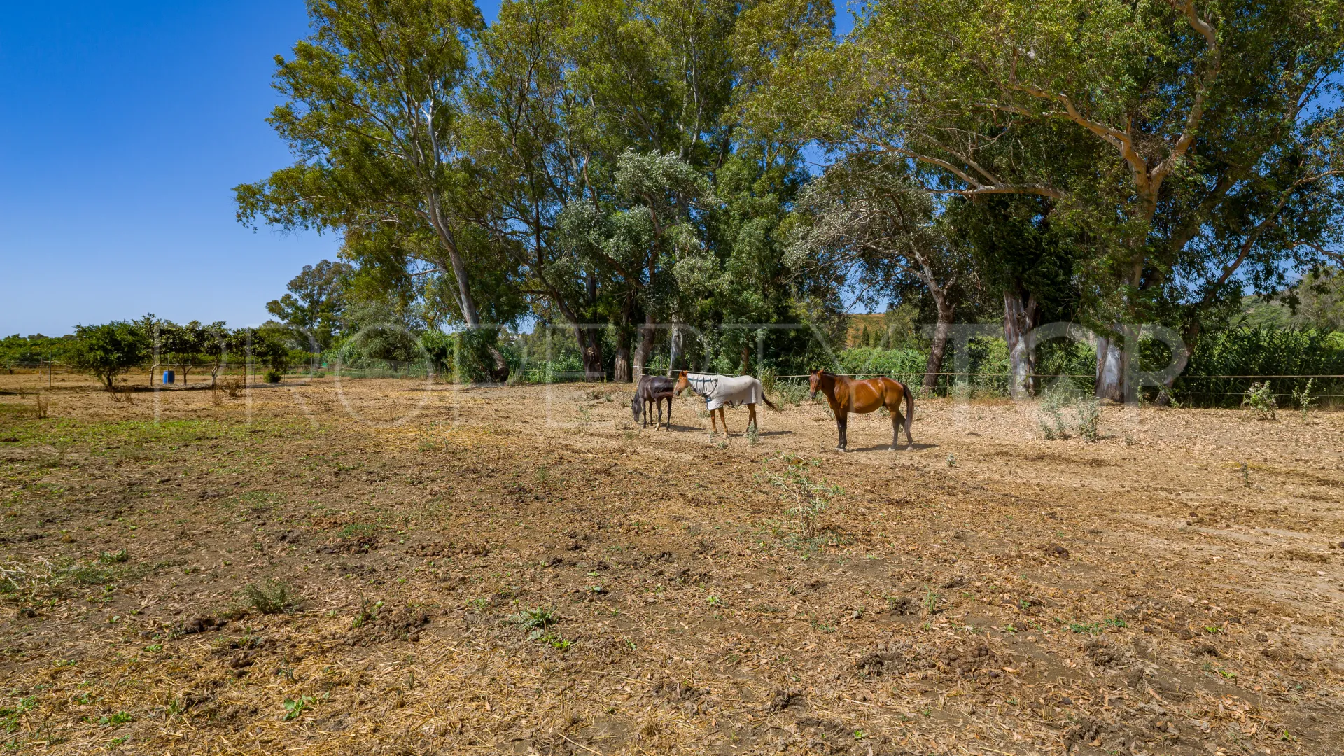 Finca en venta en San Enrique de Guadiaro