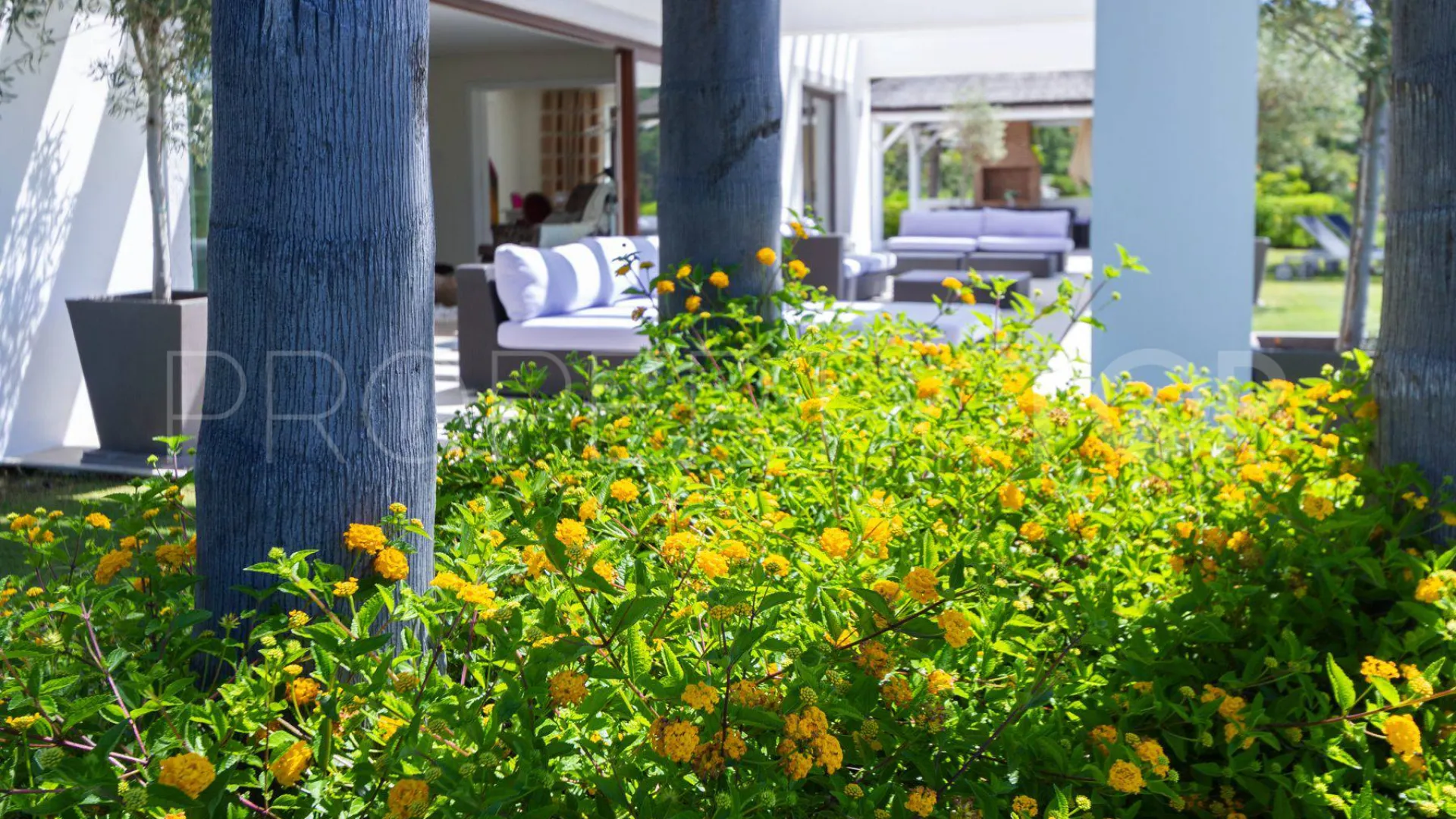 Buy villa with 5 bedrooms in La Zagaleta