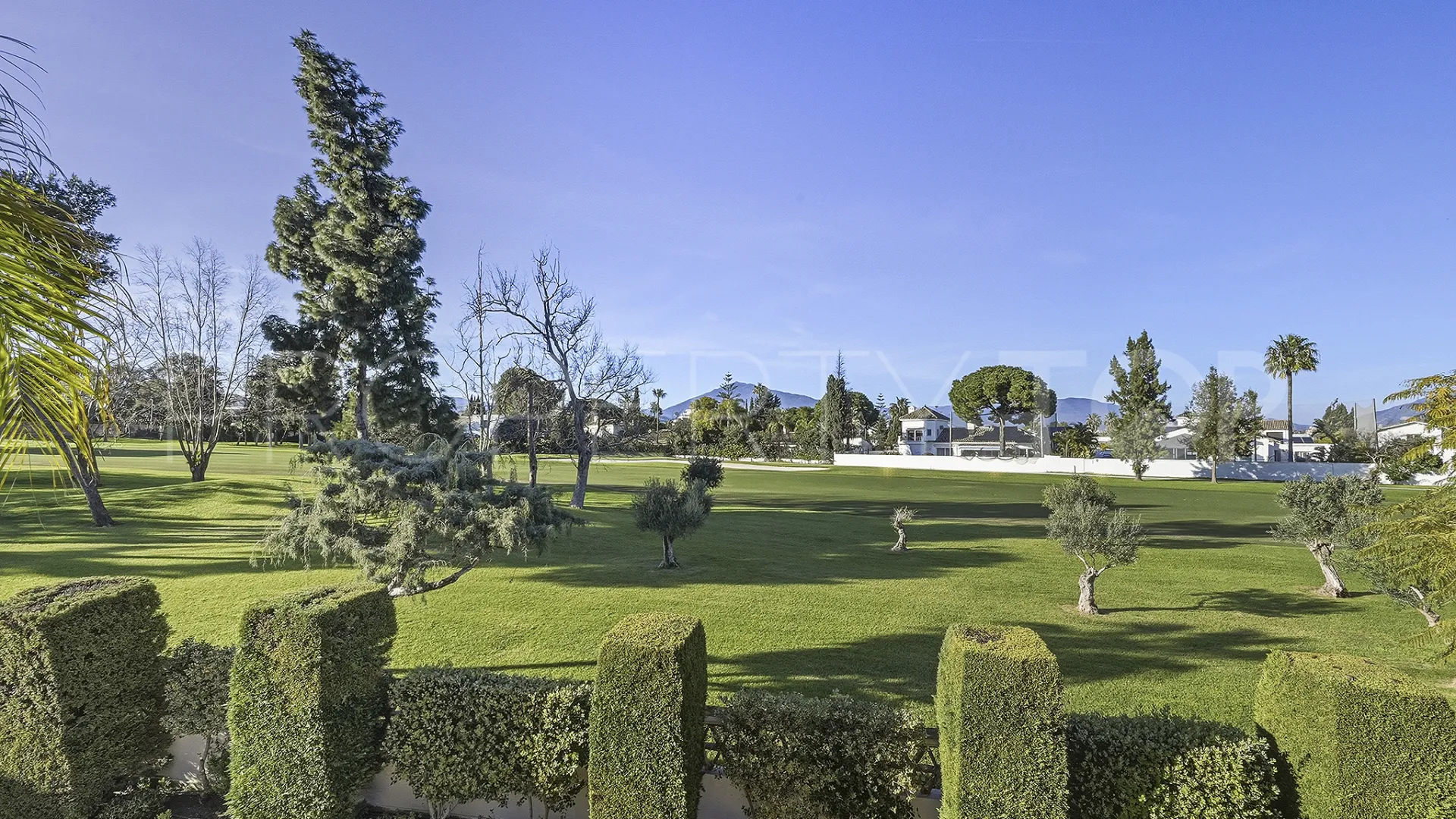 For sale Guadalmina Alta villa