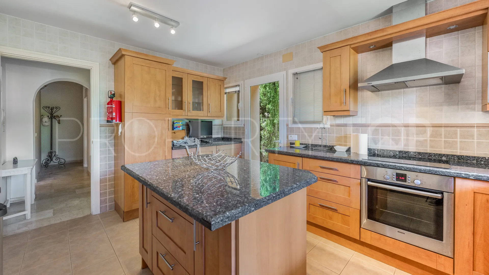 Buy villa in Elviria