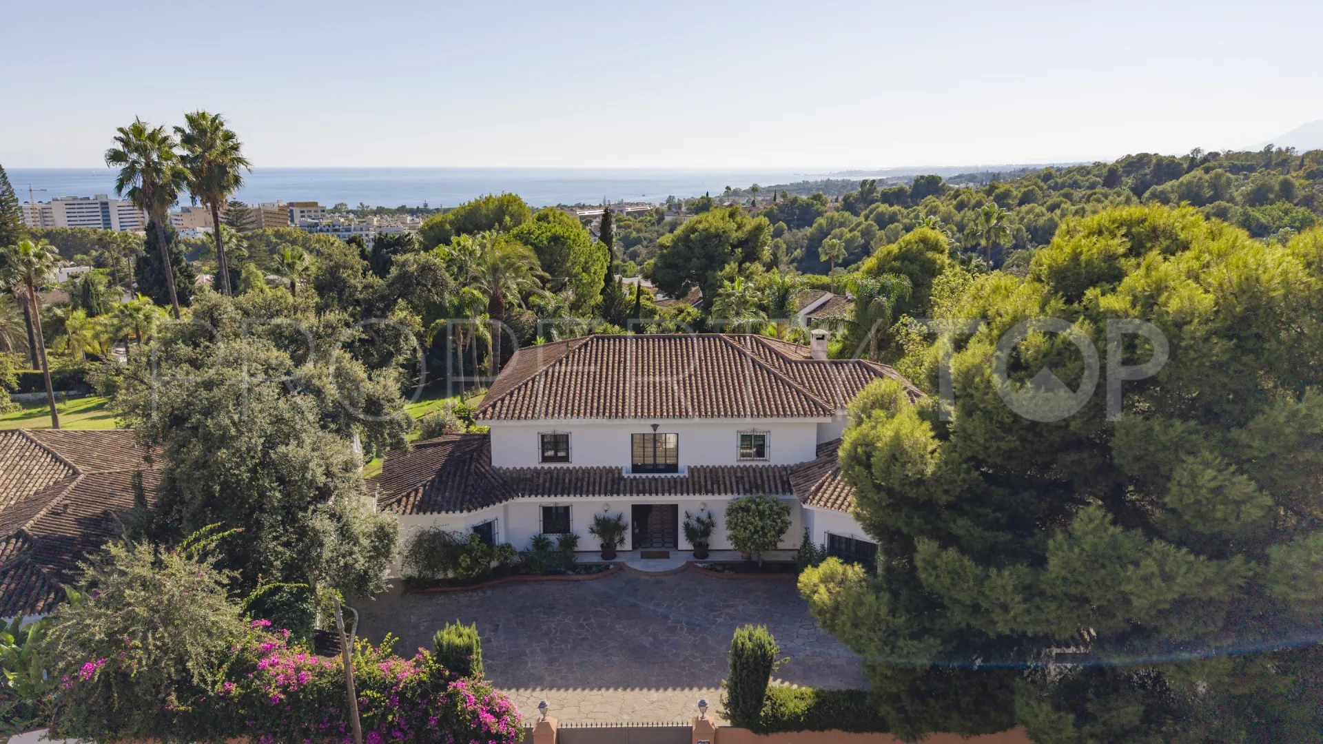 Buy Golden Mile villa
