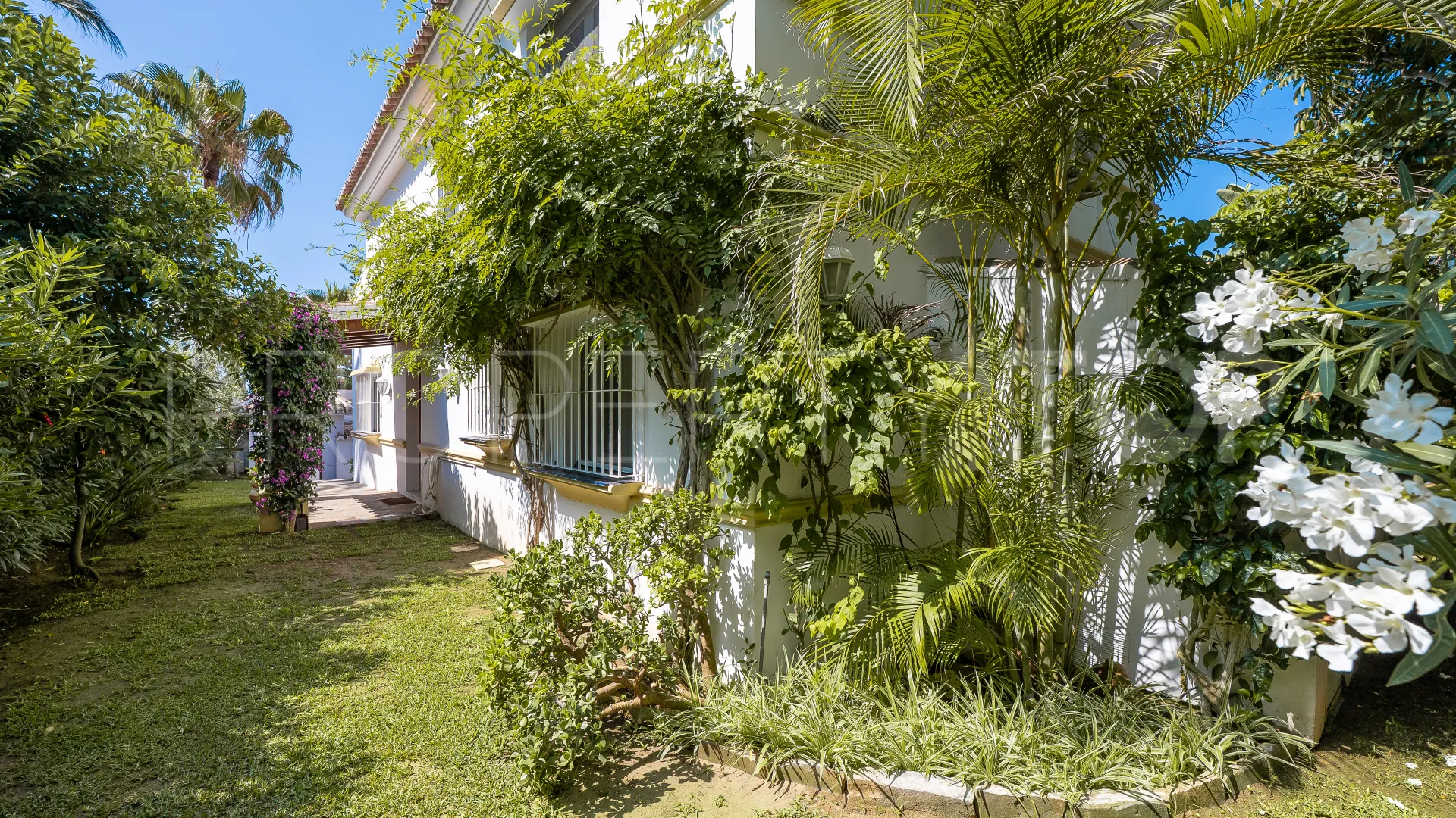 Buy house in Marbesa