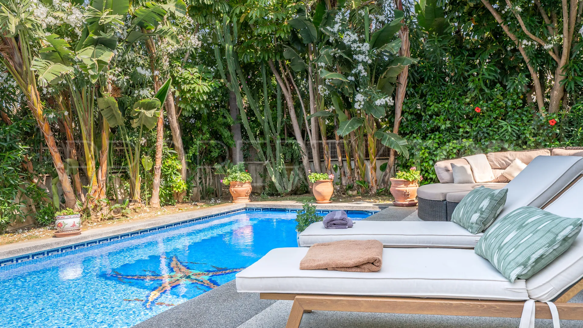 Buy house in Marbesa