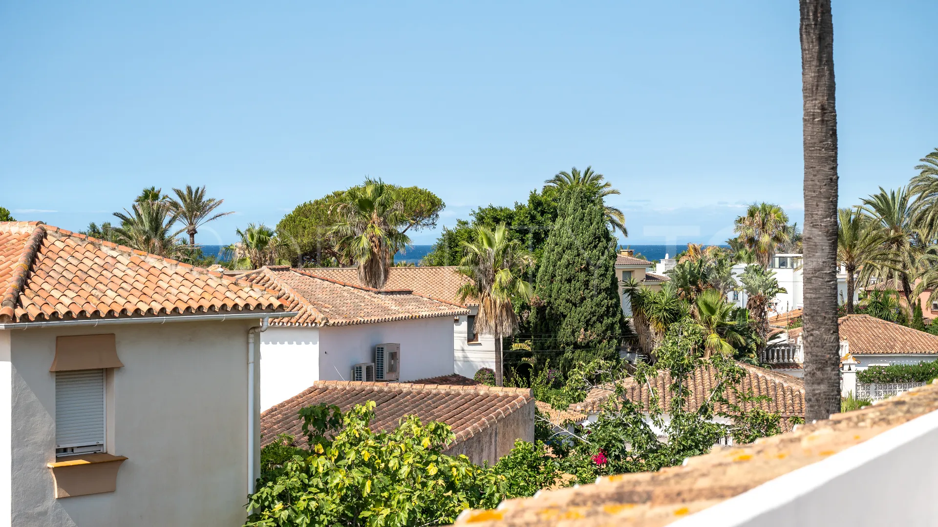 Buy house in Marbesa