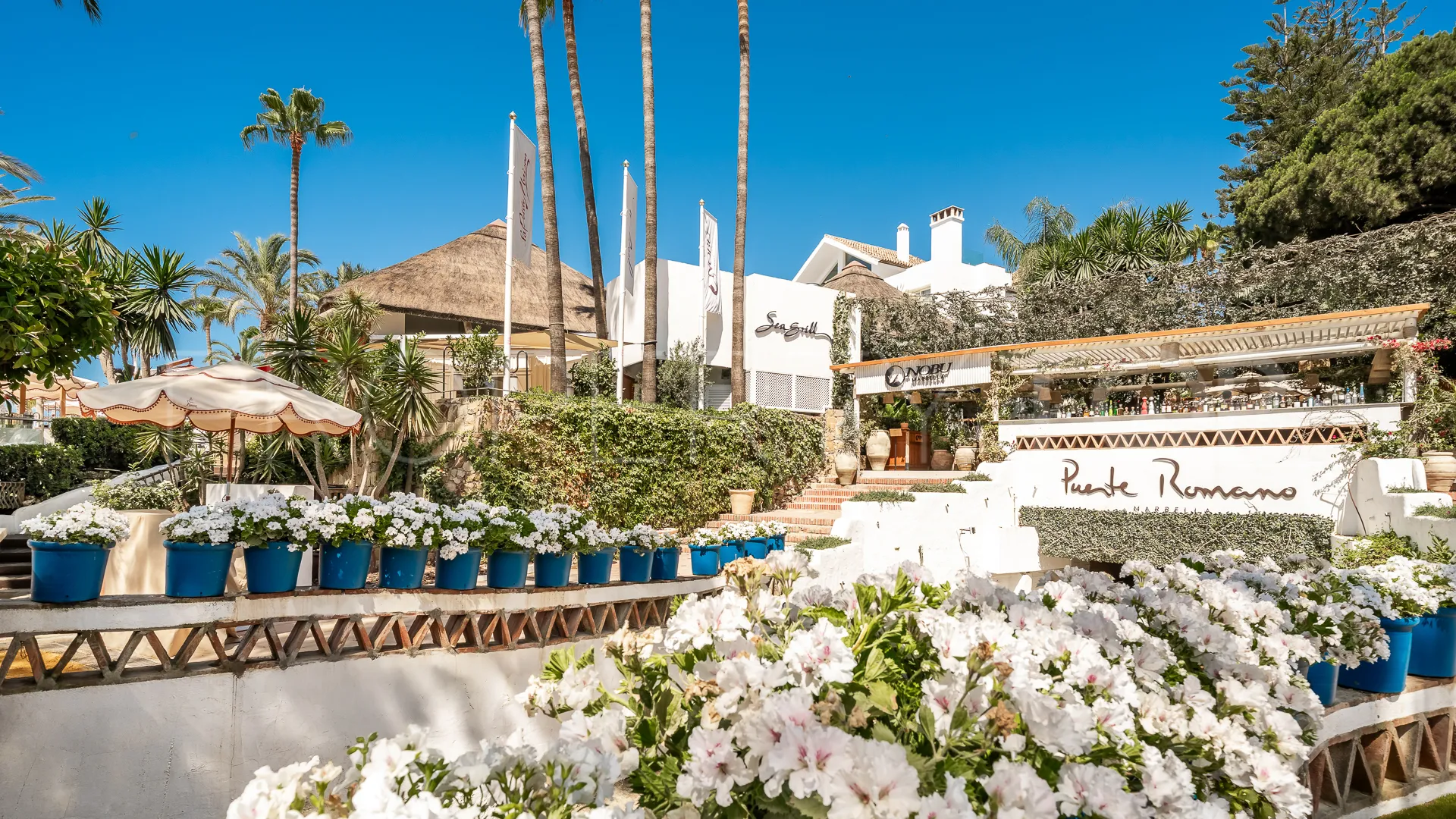 Penthouse for sale in Puente Romano