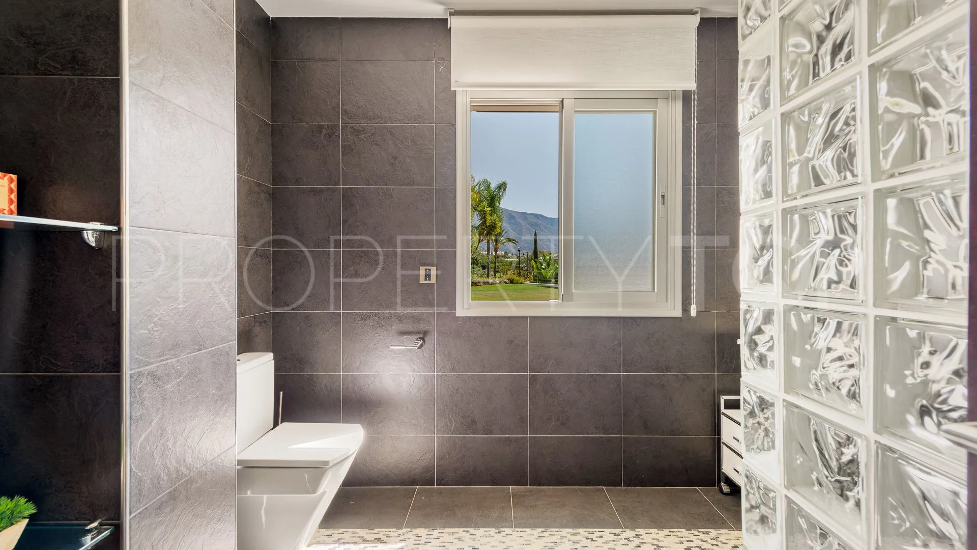 Villa in Nueva Andalucia for sale