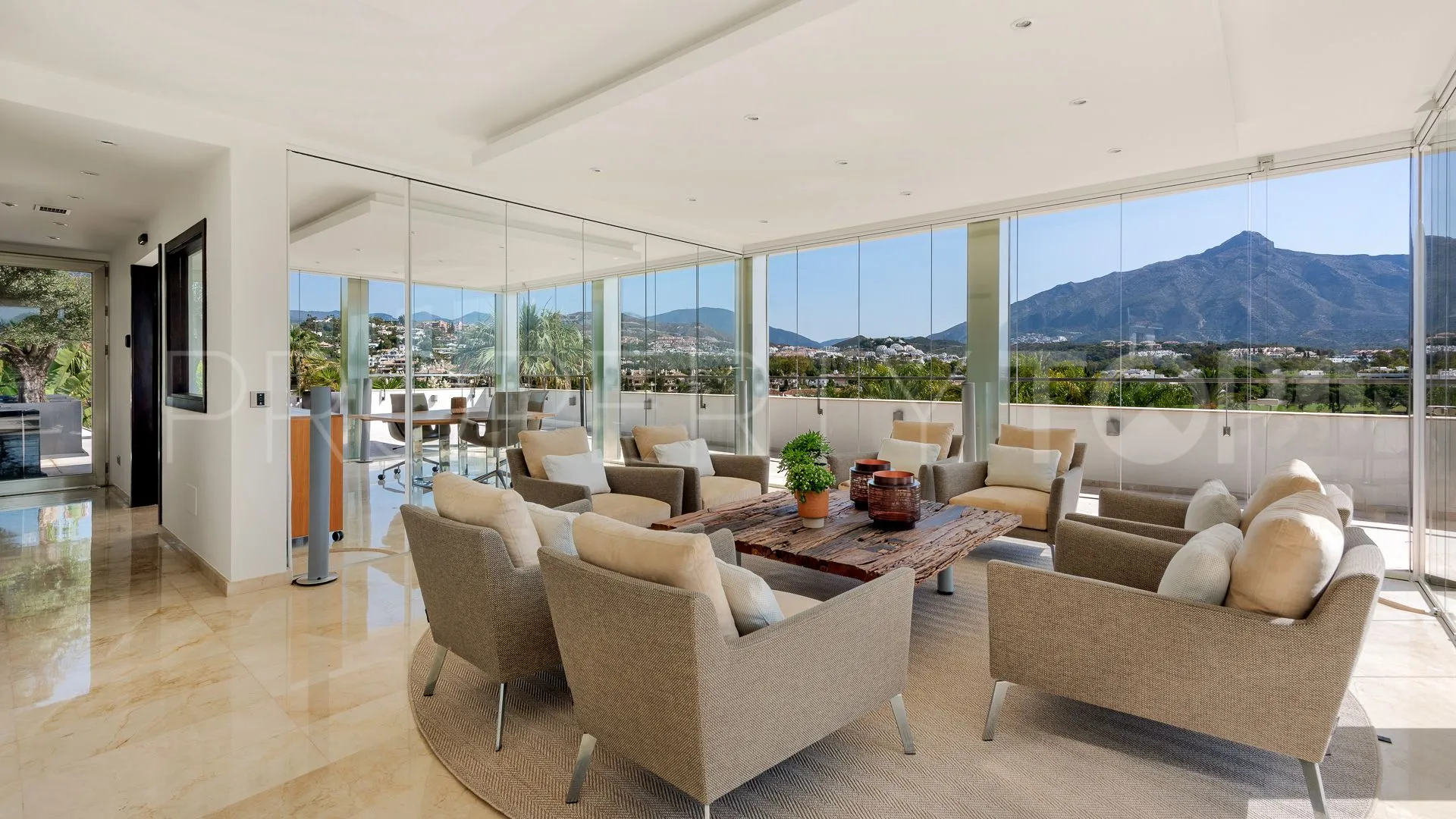 Villa in Nueva Andalucia for sale