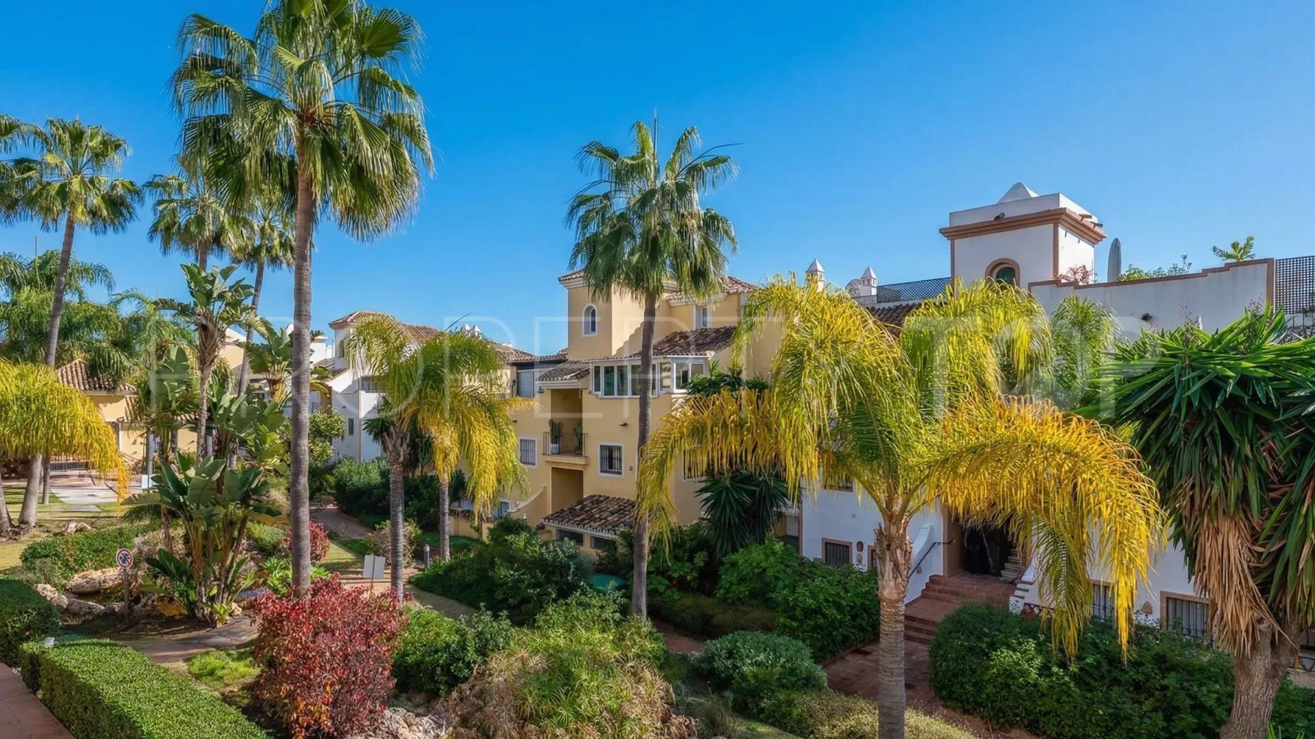 2 bedrooms Guadalmina Alta apartment for sale