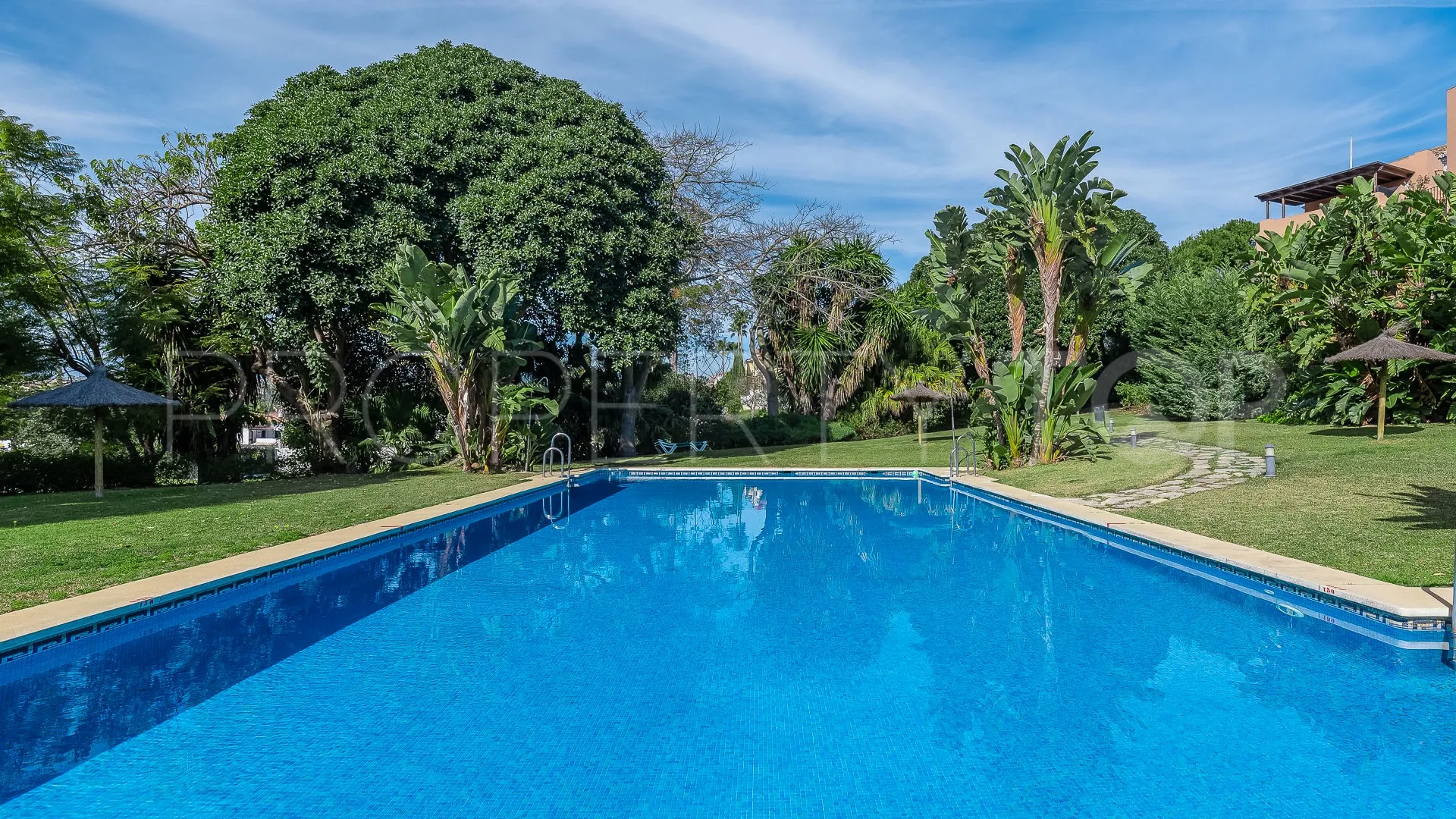 2 bedrooms Guadalmina Alta apartment for sale