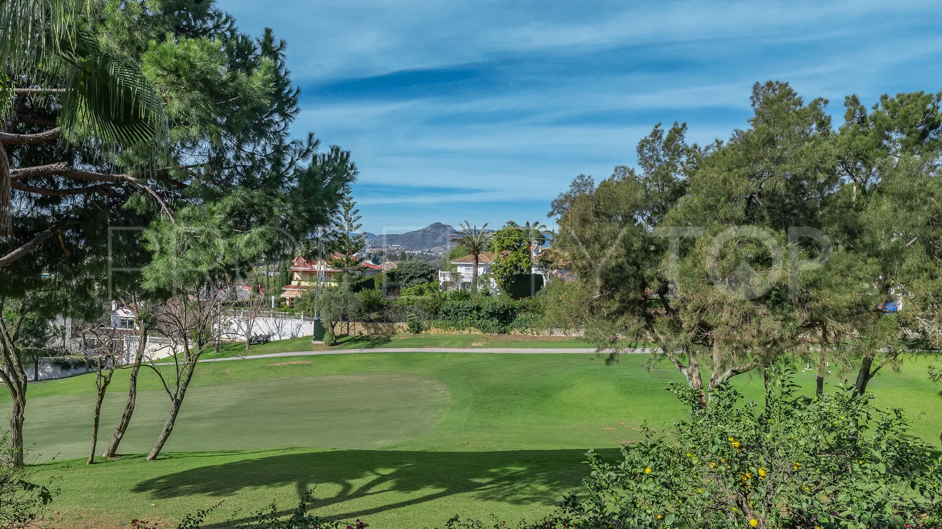 2 bedrooms Guadalmina Alta apartment for sale