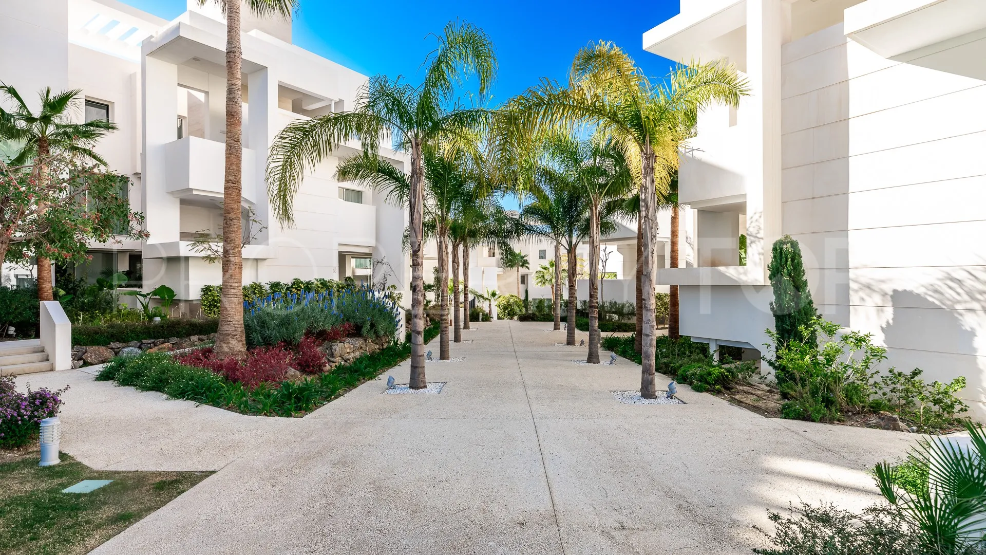 3 bedrooms Palo Alto duplex penthouse for sale