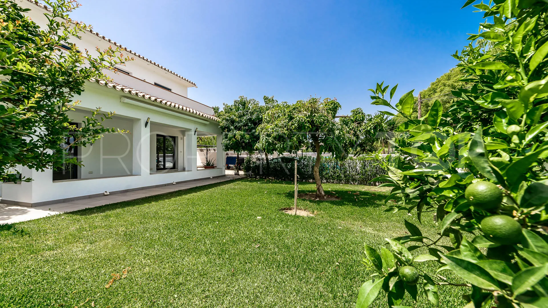 5 bedrooms San Pedro Playa villa for sale