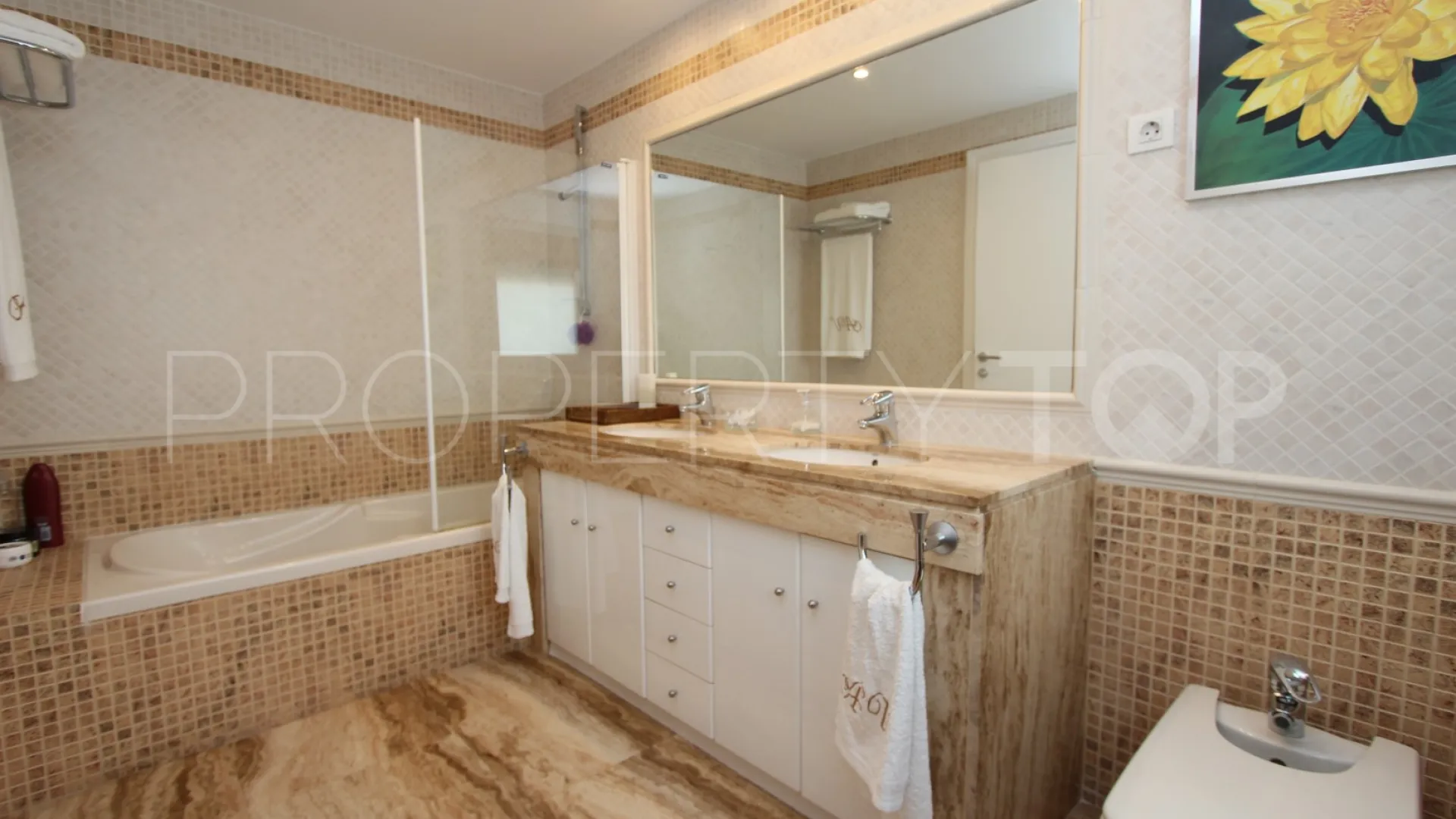 Villa in San Pedro Playa for sale