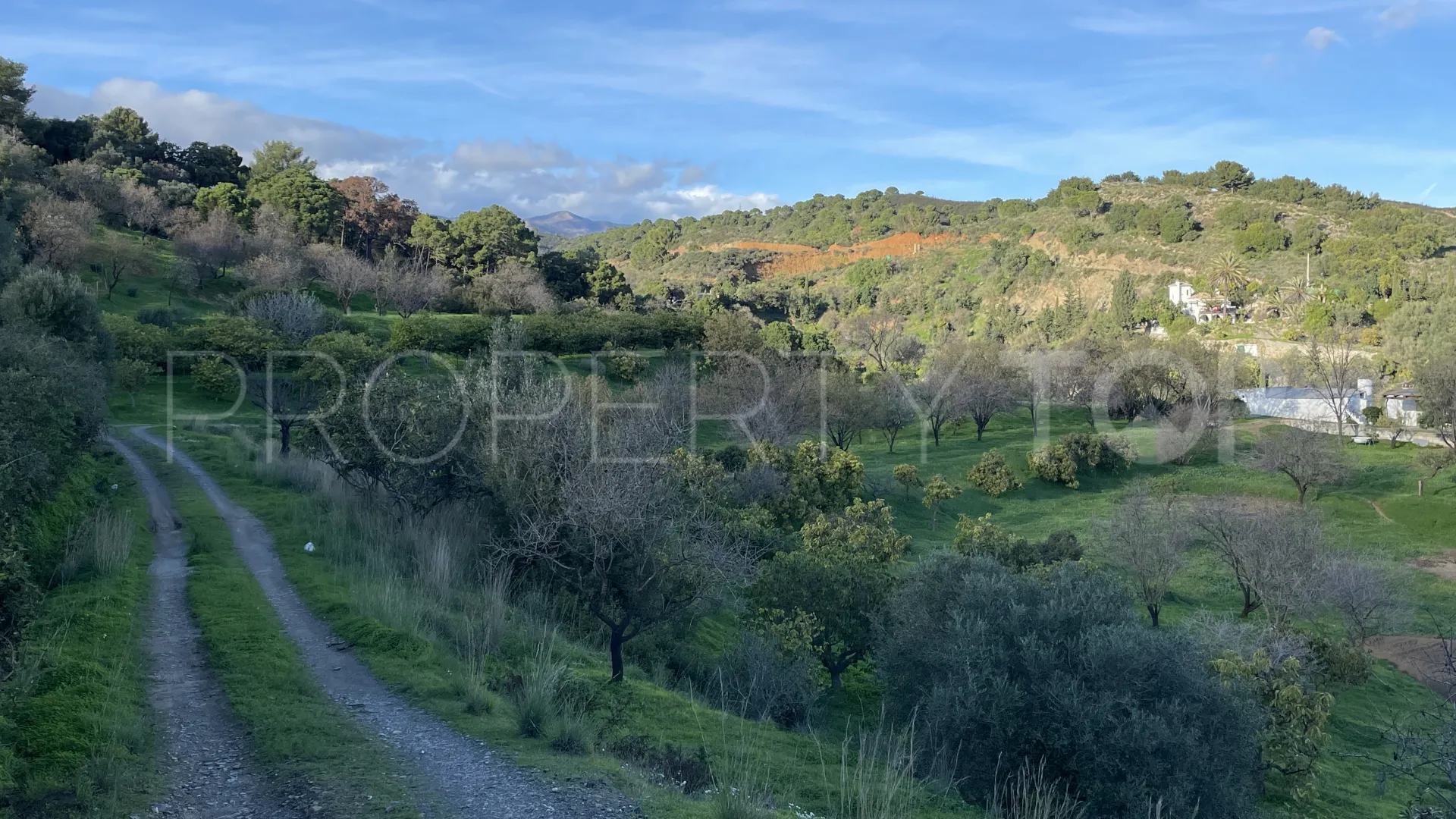 Estepona, finca en venta