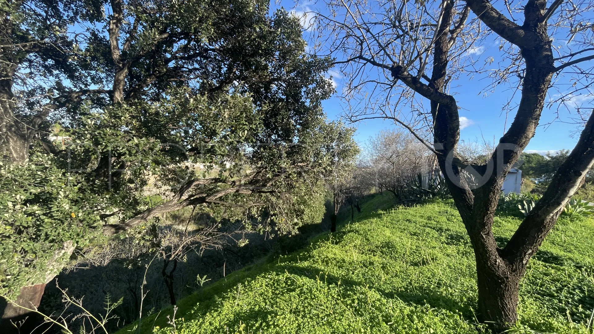 Estepona, finca en venta