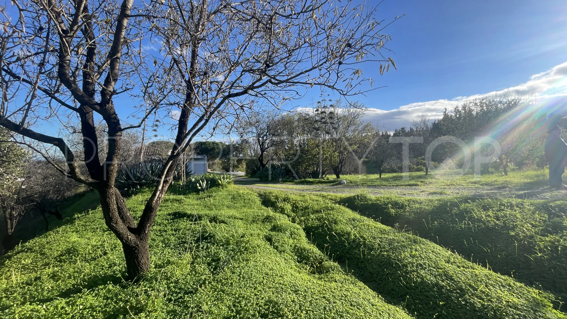 Estepona, finca en venta