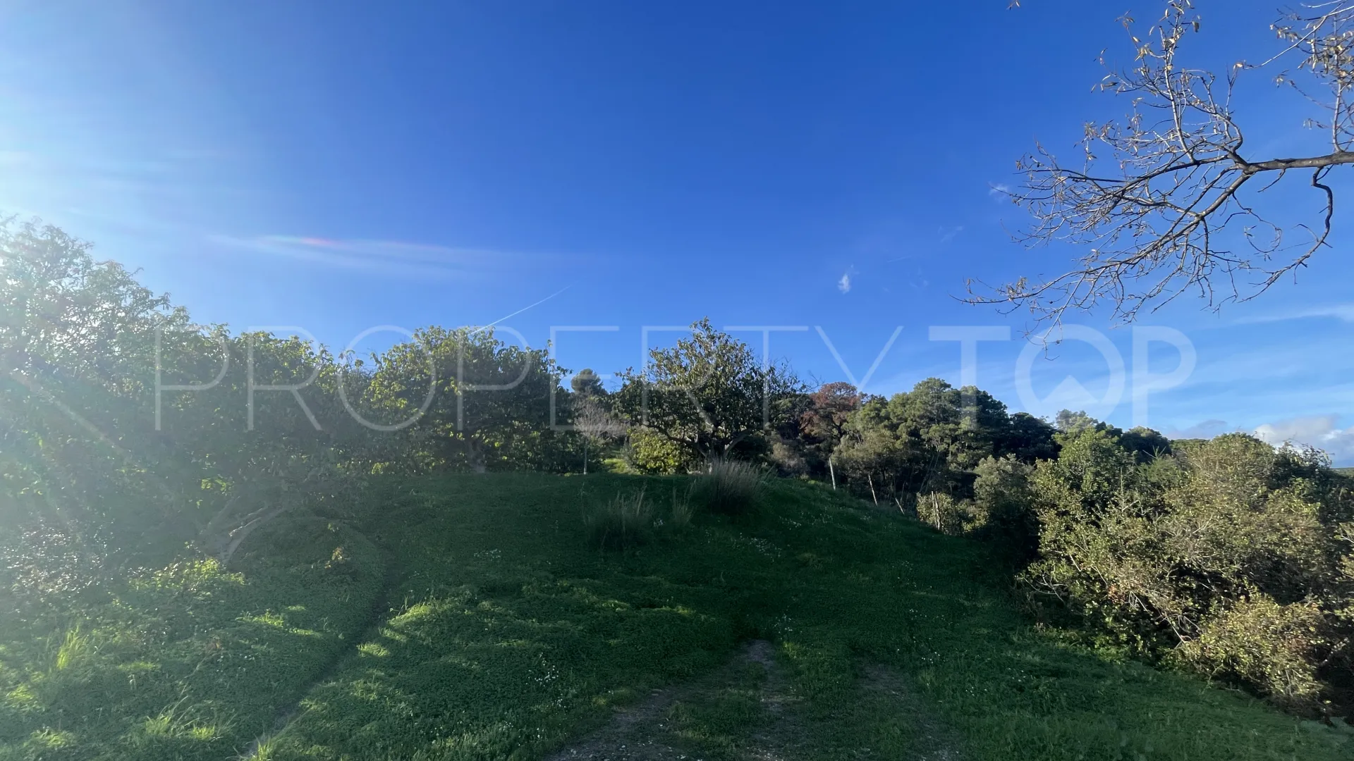 Estepona, finca en venta