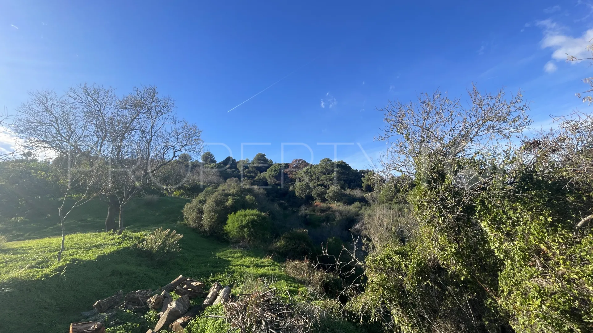 Estepona, finca en venta