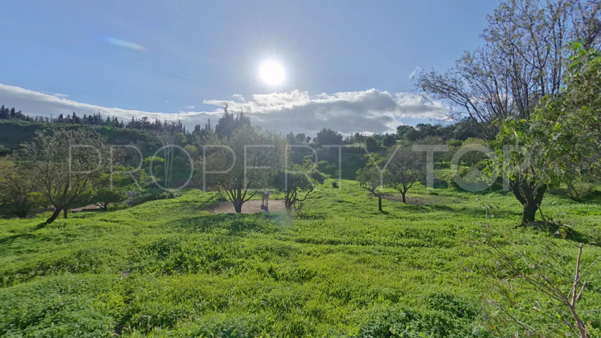 Estepona, finca en venta