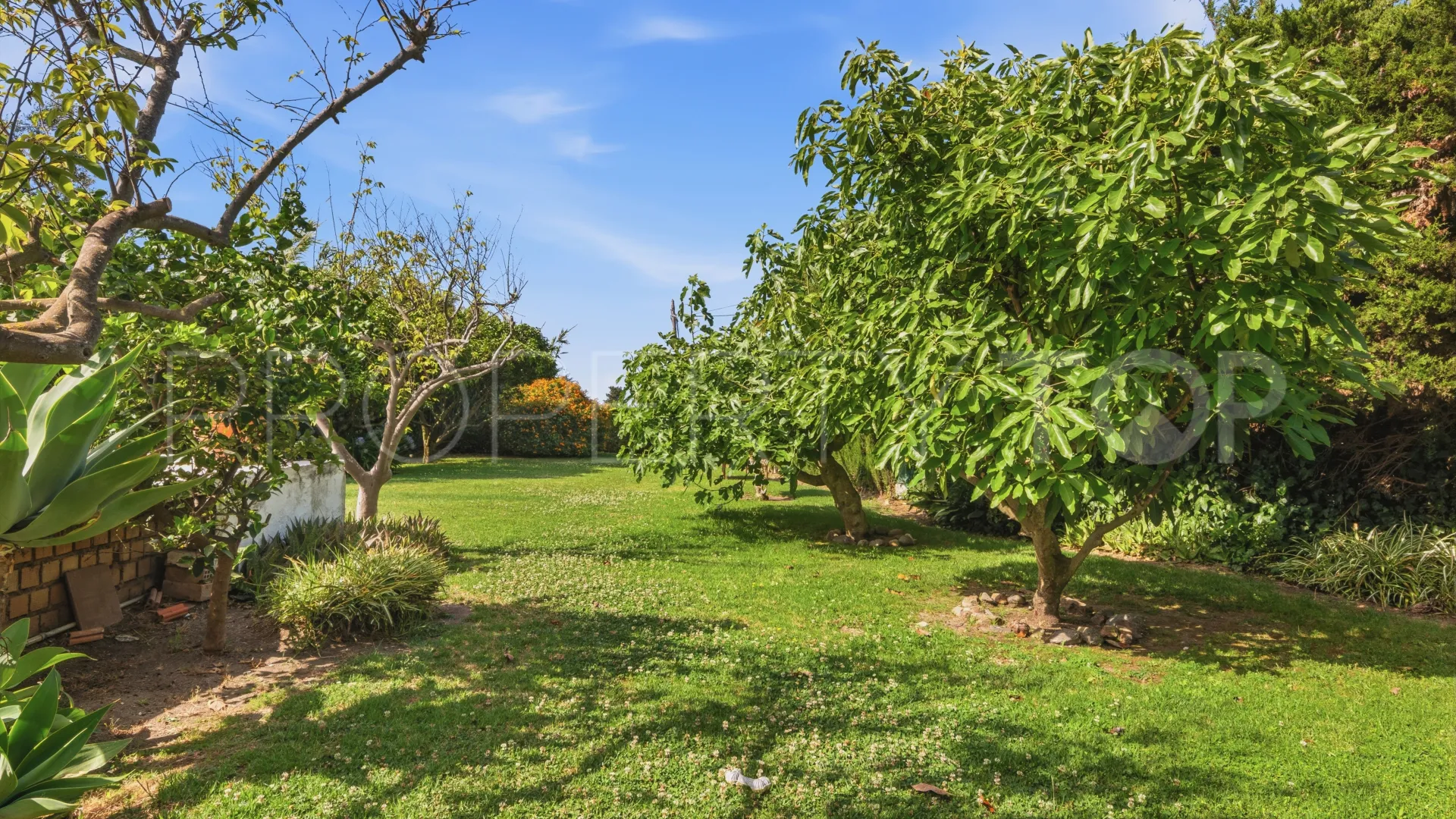 Buy country house in Estepona Town
