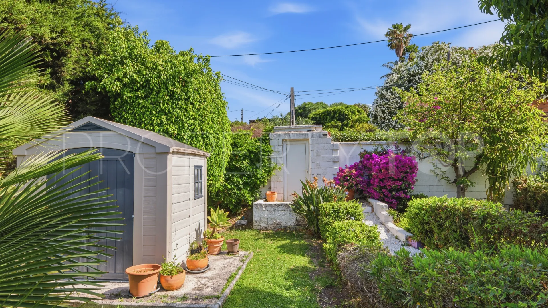 Buy country house in Estepona Town