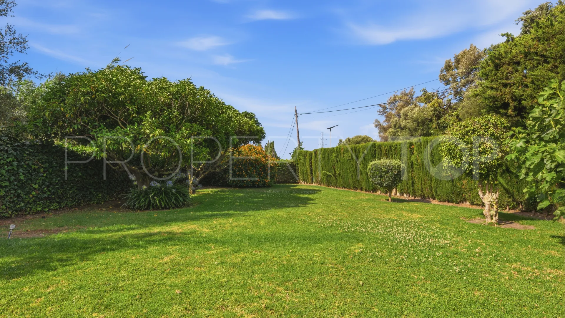 Buy country house in Estepona Town