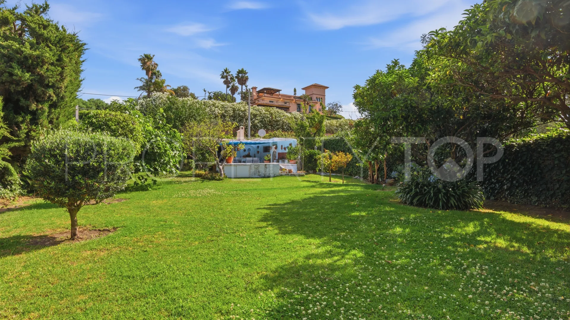 Buy country house in Estepona Town